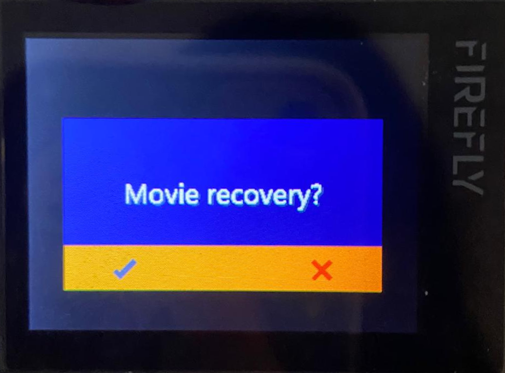 Movie_recovery_error_ZEB Cam_Fig.1.jpg
