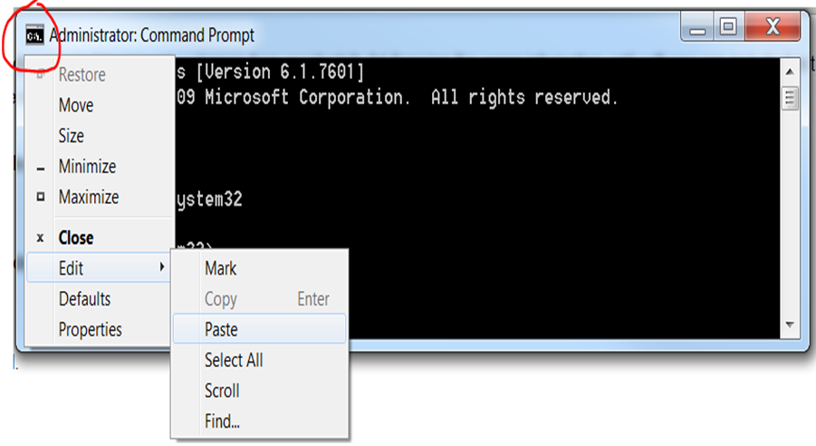 DOS Command Window Paste Feature